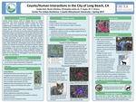 Coyote/Human Interactions in the City of Long Beach, CA by Hayley Hart, Nicole Infantino, and Christopher Jaime
