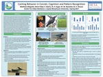 Caching Behavior in Corvids: Cognition and Pattern Recognition by Matthew Allegretti and Ethan Flake
