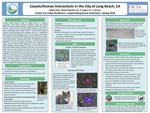Coyote/Human Interactions in the City of Long Beach, CA by Hayley Hart and Nicole Infantino