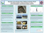 Mosquito Larvae Density Study at Ballona Freshwater Marsh by Oscar Repreza, Ian Wright, J. Dorsey, Michele Romolini, and Eric Strauss