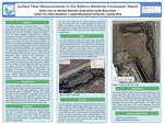 Surface Flow Measurements in the Ballona Wetlands Freshwater Marsh by Calvin Foss, Michele Romolini, E. Simso, and Sarah Bruce-Eisen