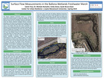 Surface Flow Measurements in the Ballona Wetlands Freshwater Marsh