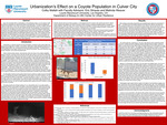 Urbanization’s Effect on a Coyote Population in Culver City by Colby Mallett, Eric Strauss, and Melinda Weaver