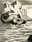 Illustration of Whale by William Hogarth, 1808