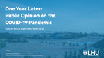 One Year Later: Public Opinion on the COVID-19 Pandemic by Brianne Gilbert