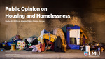Public Opinion on Housing and Homelessness by Brianne Gilbert