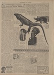 La Domenica Del Corriere 1926 10