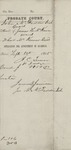 Application for Appointment of Guardian 1865 2
