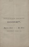 Sullivan County Docket (1876) 1