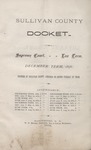 Sullivan County Docket (1876) 2