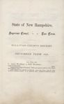Sullivan County Docket (1876) 4